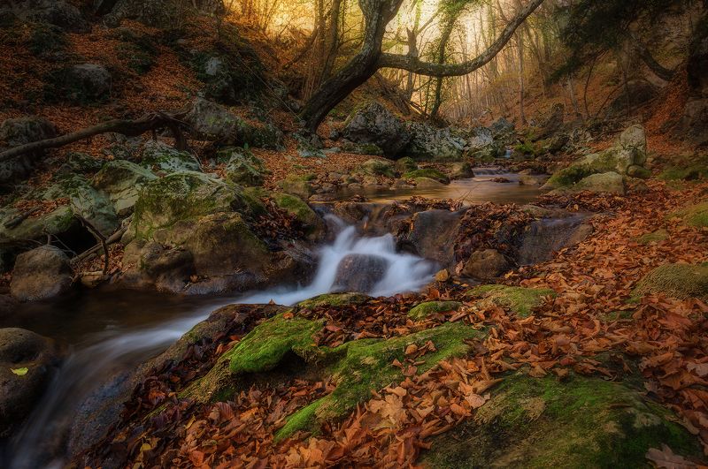 Крым, Пейзаж, Большой каньон,  Маленькая но гордая река фото превью