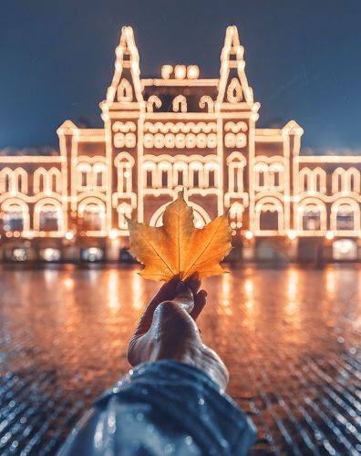 Дождливая осень
