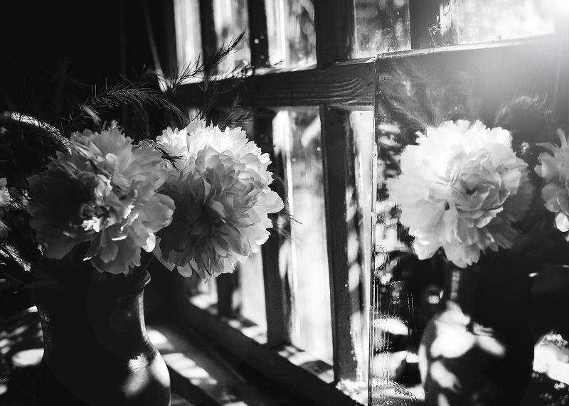 ... фото превью