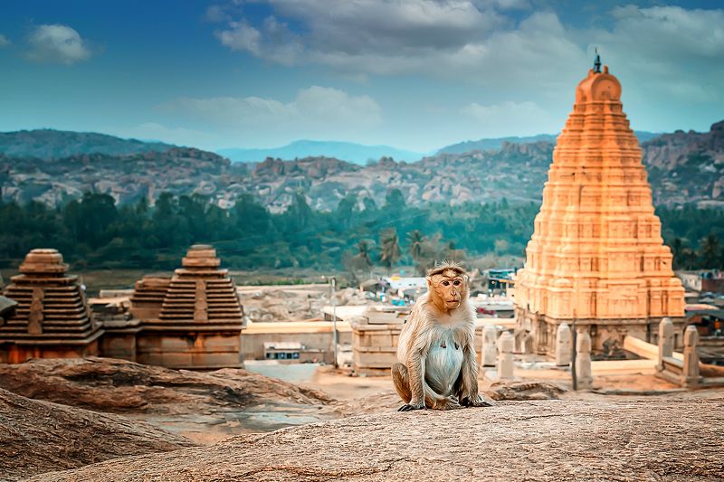 Хампи.Индия фото превью