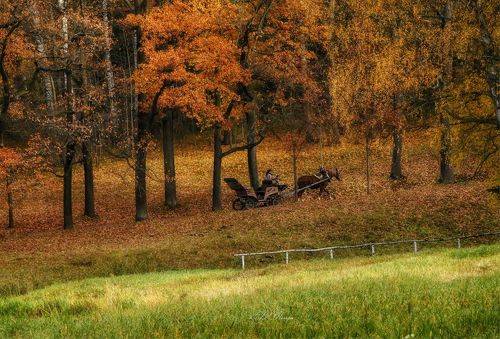 Осенняя пора