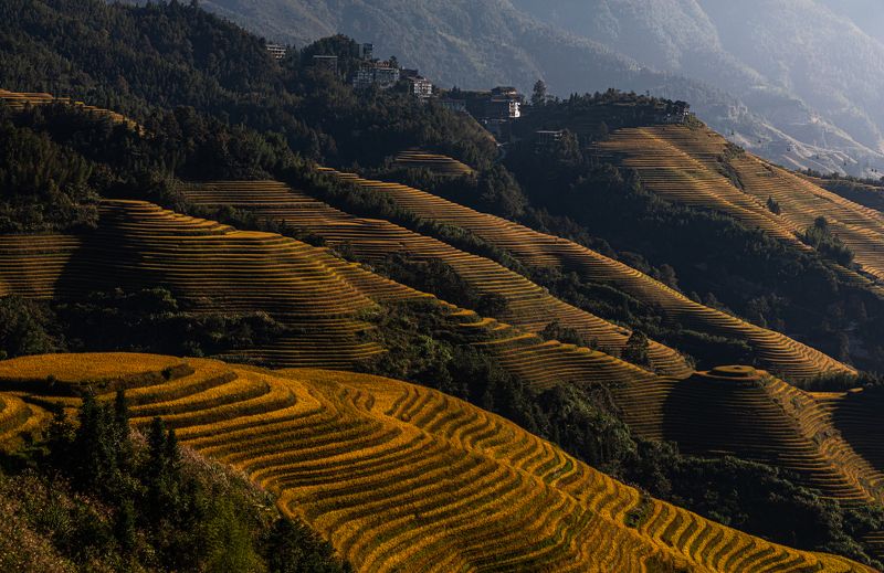 Китай. Террасы. Рис. Осень. Горы. Рисовые террасы 3 фото превью