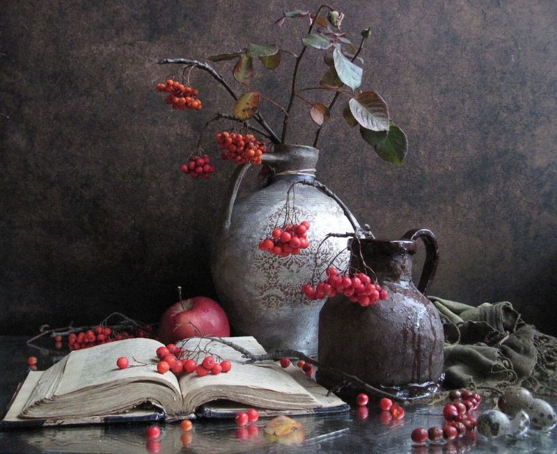 ветки, рябина, ноябрь Рябина в ноябре фото превью