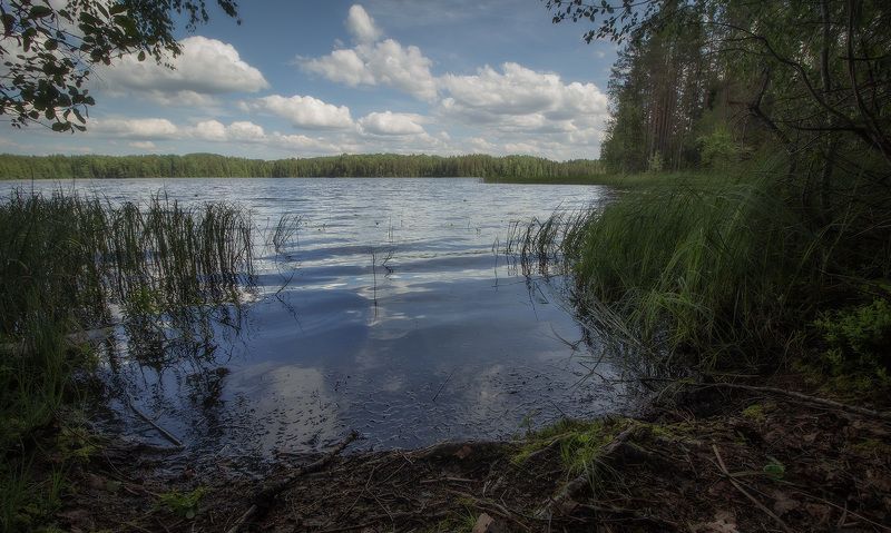 У озера фото превью