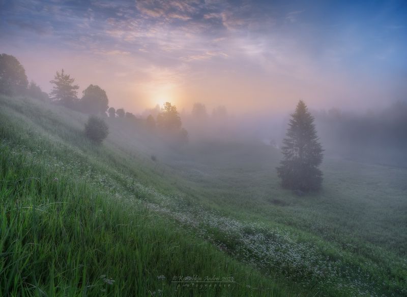... летние похождения ... фото превью