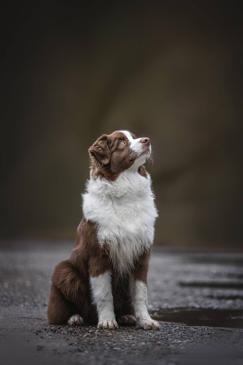 , Ирина Голомб