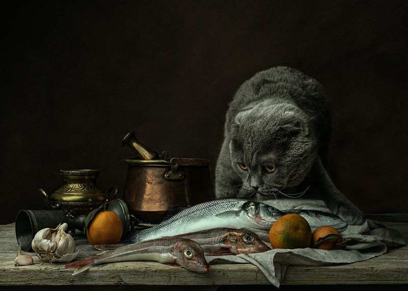 Hanter фото превью