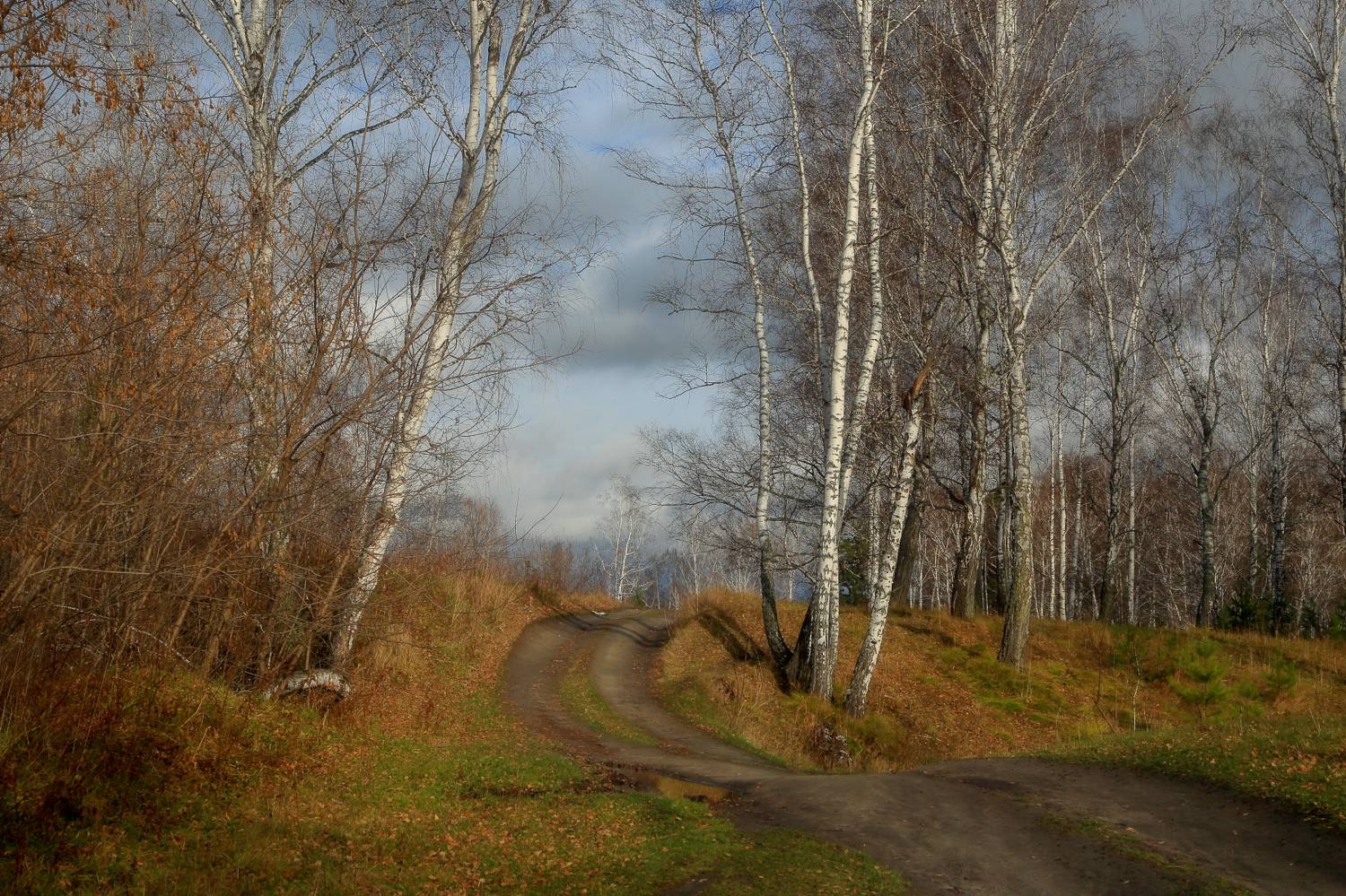 , Евгений Зинов