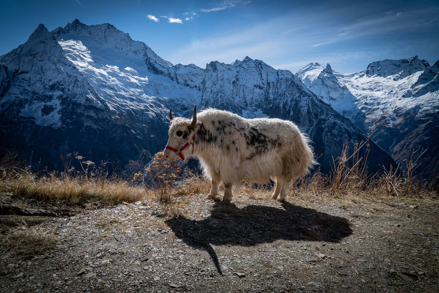 россия, карачаево-черкессия, домбай, гора мусса-ачитара,, Юрий Гаврилов
