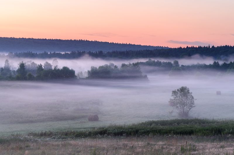 Калужские туманы фото превью