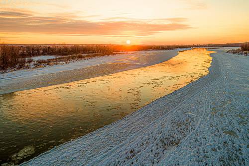 Золотая Бия