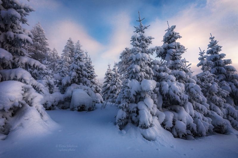 уван, горы, зима, снег, вечер, закат Сумерки фото превью