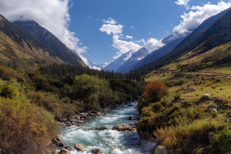 р.Барскоон фото превью