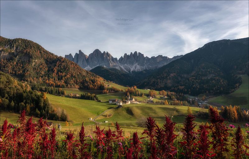 доломитовые альпы,mountain,цветы,santa maddalena,деревня,val di funes,осень,odle,гребешок,италия,alps,ranui,san giovanni,церквушка,hills,celosia CELOSIA фото превью