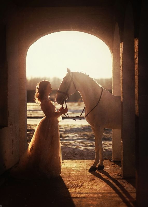 закат, солнце, архитектура, лошади, конная фотография, портрет, платье  фото превью