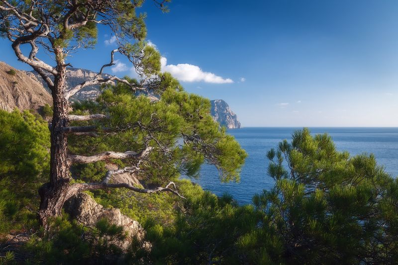 крым, балаклава, осень, море, пляж. Осенний пляж Балаклавы. фото превью