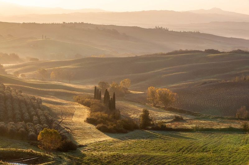 Золотое утро фото превью