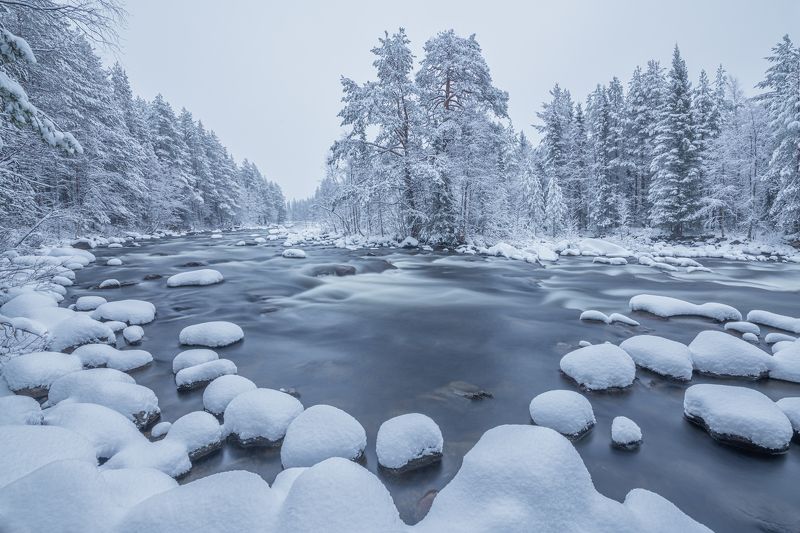 Выходной...  фото превью