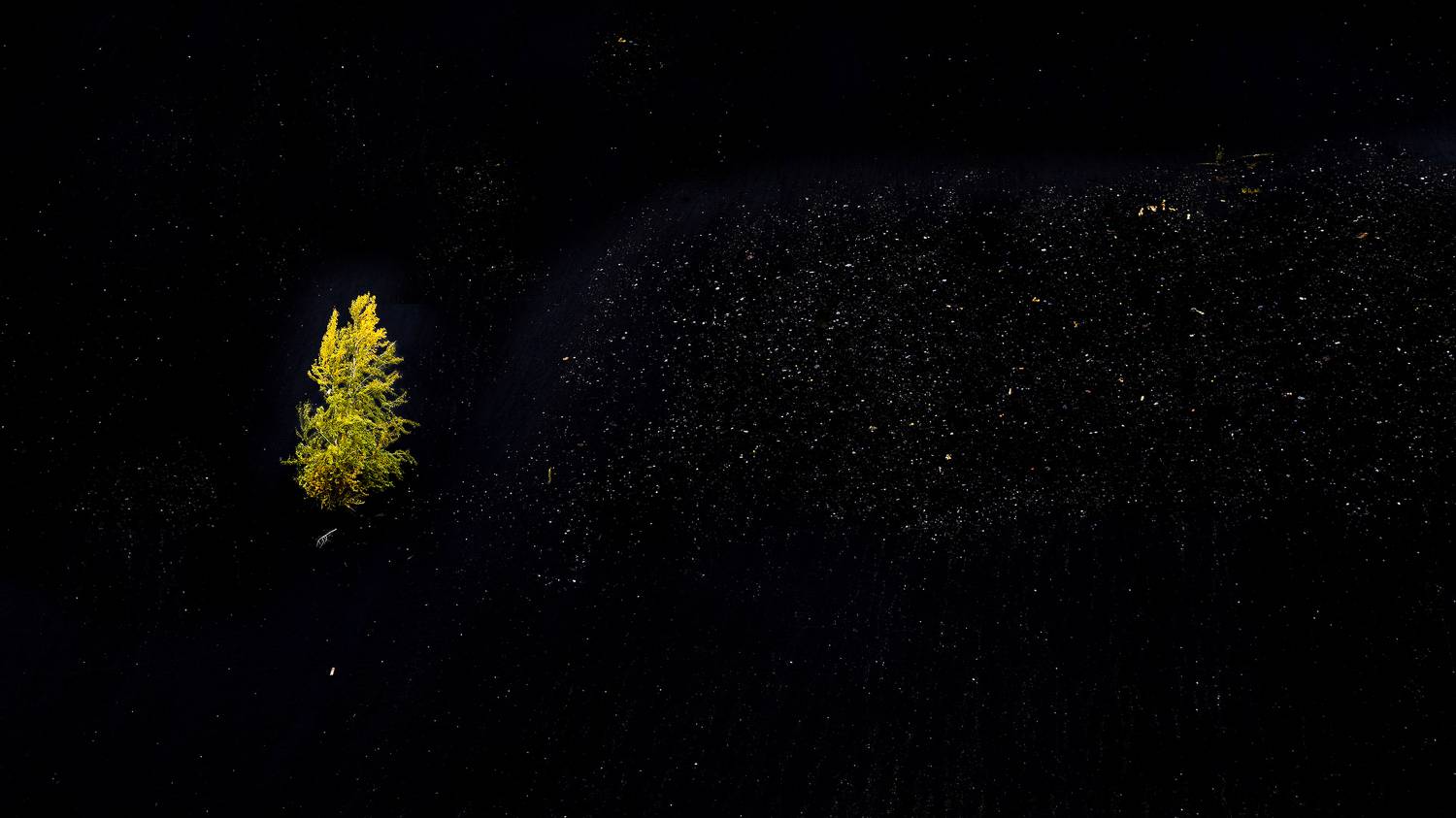 , Ушаков Валерий