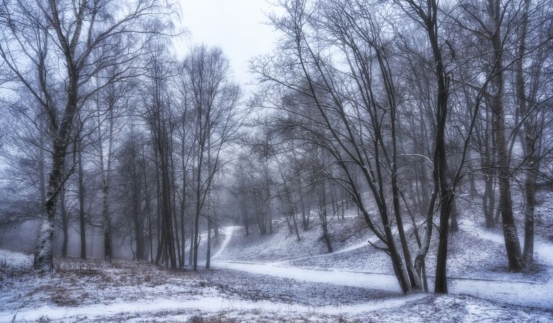 Предзимье фото превью