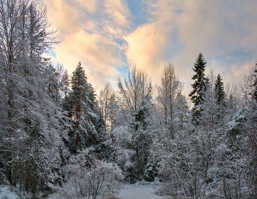 Ну вот и зима пришла
