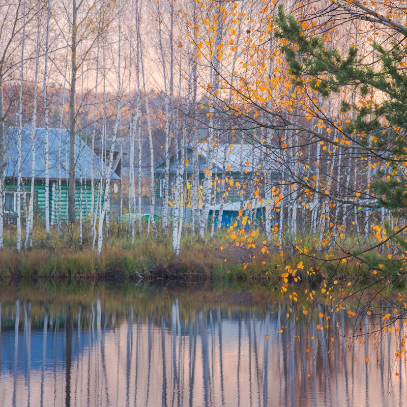 утро рассвет осень октябрь серково черная порза Осенние кружева фото превью