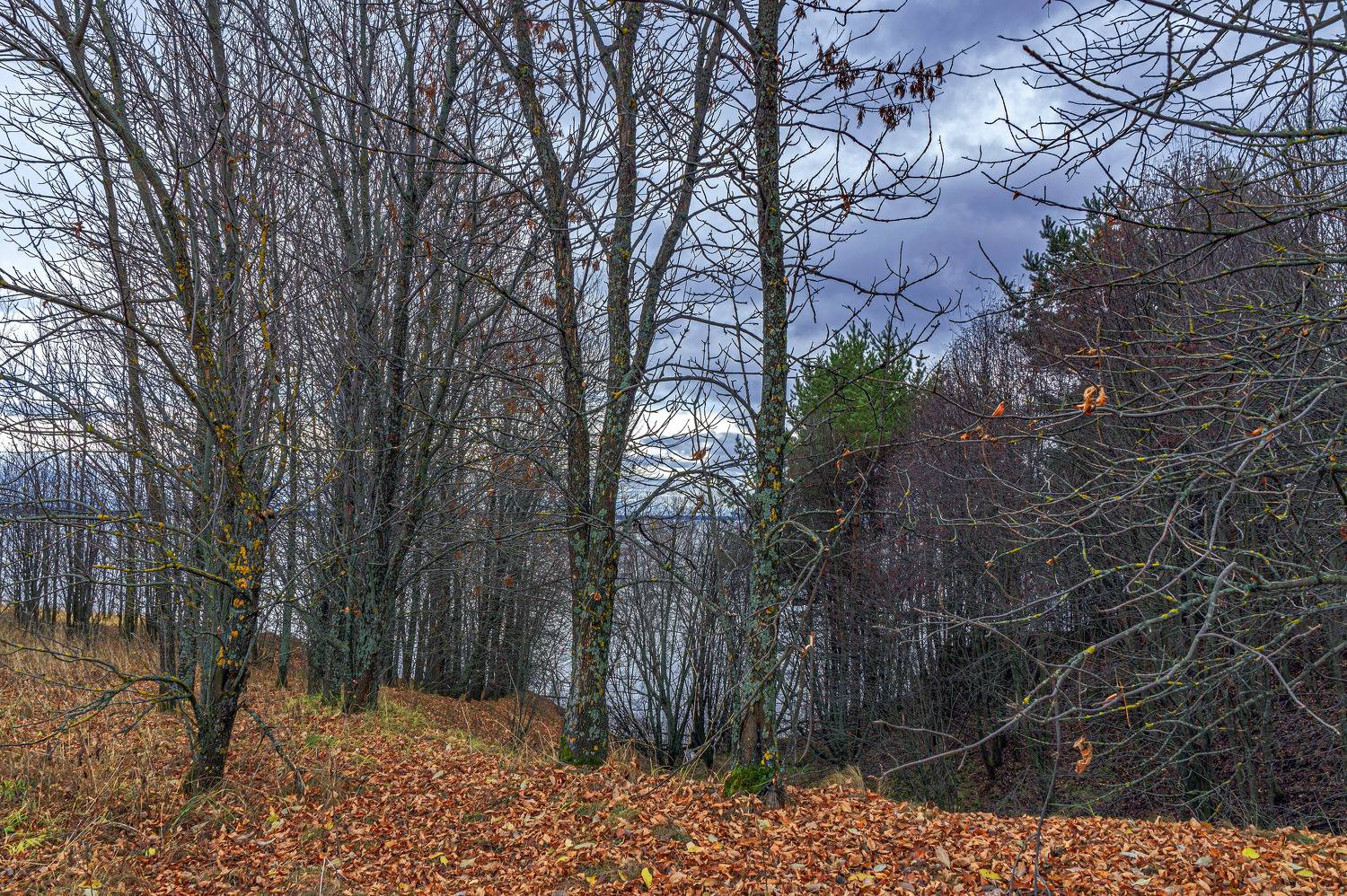 , Шитов Александр