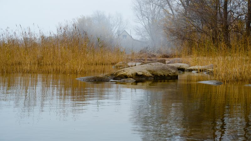 калининград, туман, осень, куршский_залив  фото превью