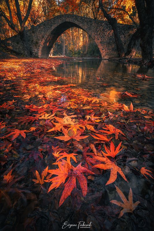 Кипр фото превью