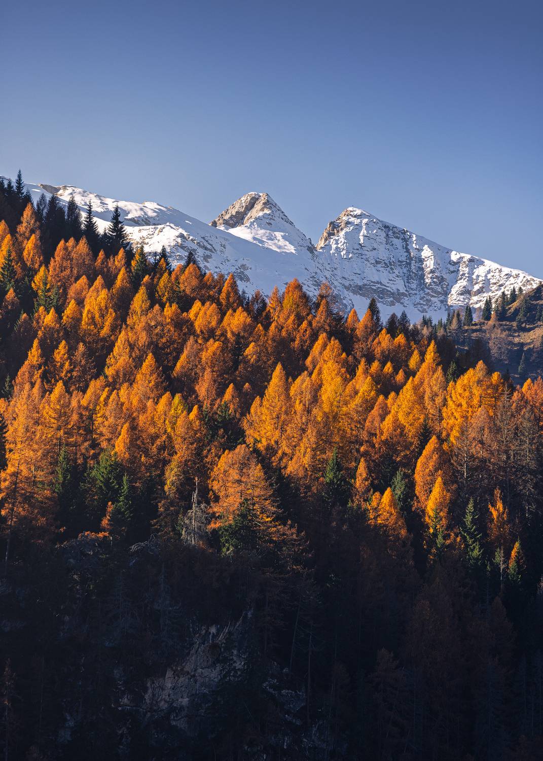 , Сергей Быков