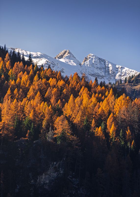Marmolada фото превью
