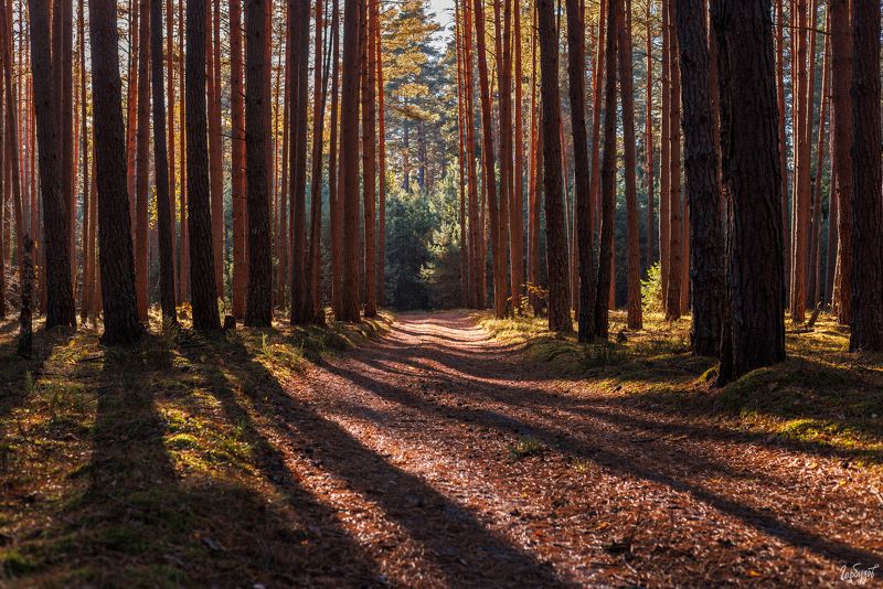 По Нац. парку Угра фото превью