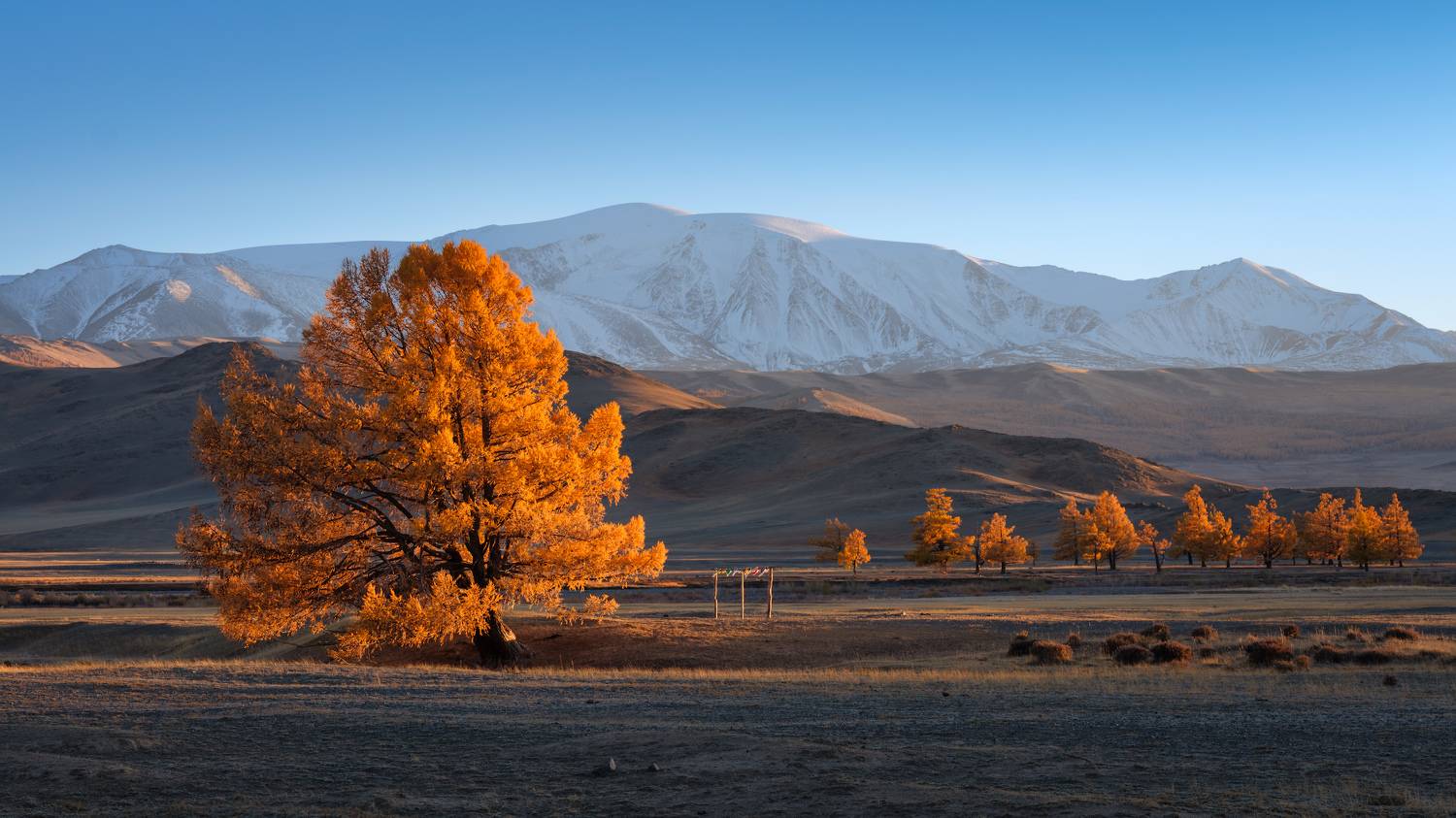 тыва, tuva, горы, сумерки, осень, золотая осень, путешествие, journey, traveling, Леонтьев Константин