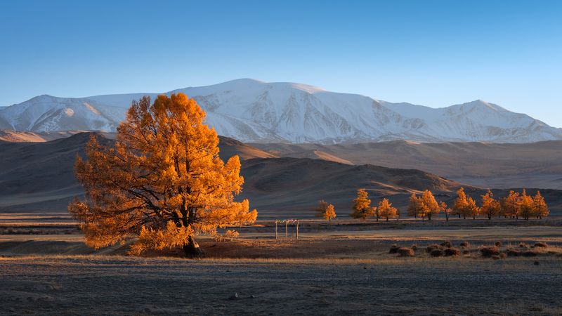 тыва, tuva, горы, сумерки, осень, золотая осень, путешествие, journey, traveling Сумерки бывают яркими... \\ Twilight can be bright... фото превью