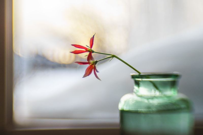 У окна фото превью