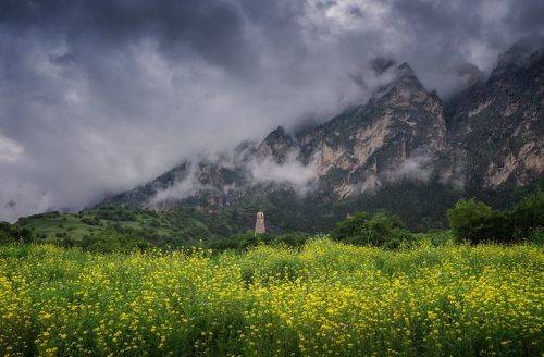 Перед дождём