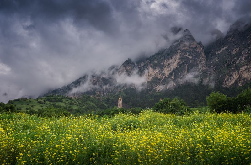 ингушетия, природа, кавказ, горы Перед дождём фото превью