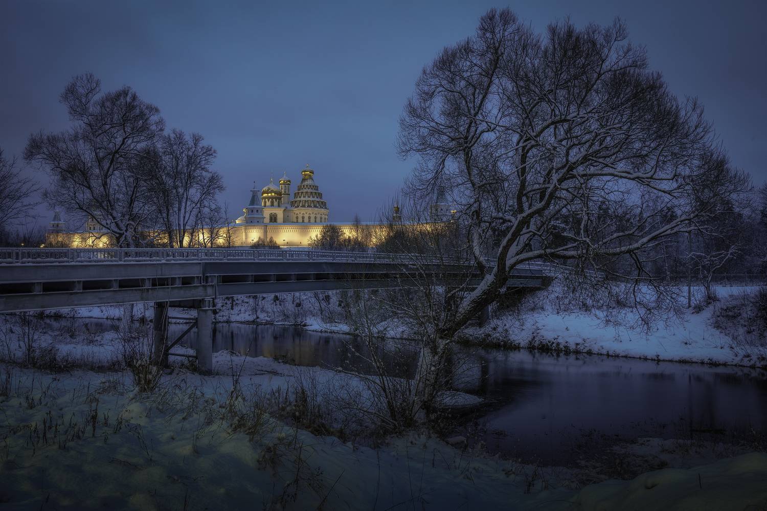 истра, Гусева Елена