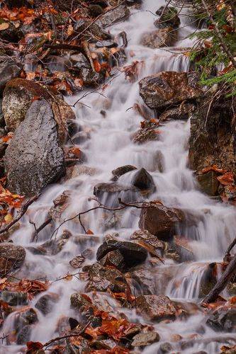 Осенний горный ручей