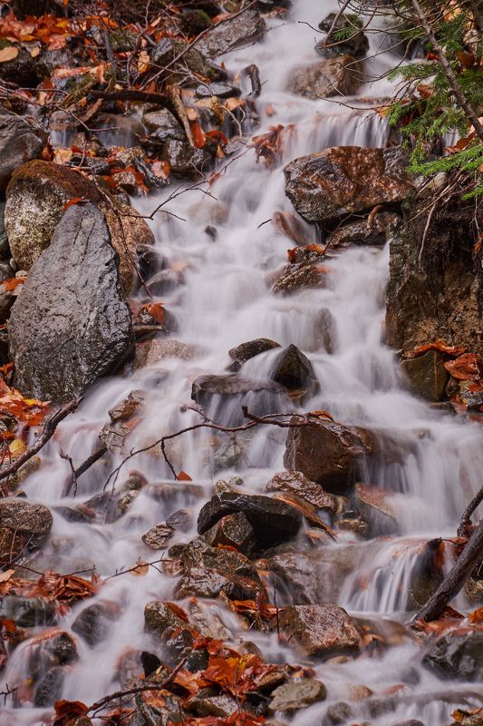 Осенний горный ручей фото превью