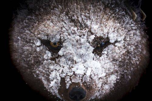 В глаза смотреть, я сказал!