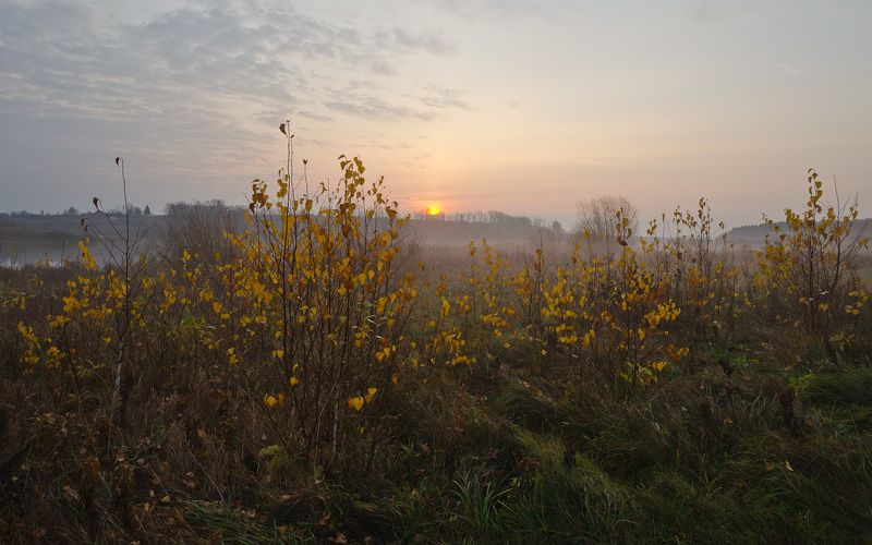утро, рассвет, осень, архангельское В осенних полях легла тишина фото превью