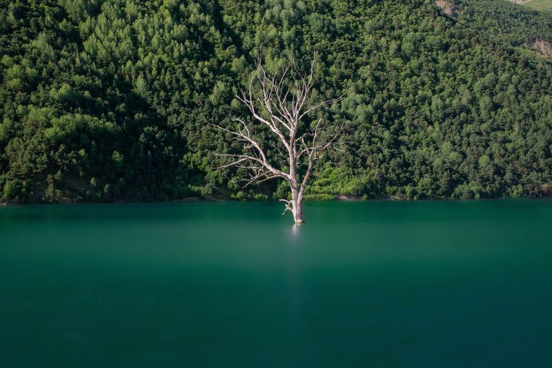 *** фото превью