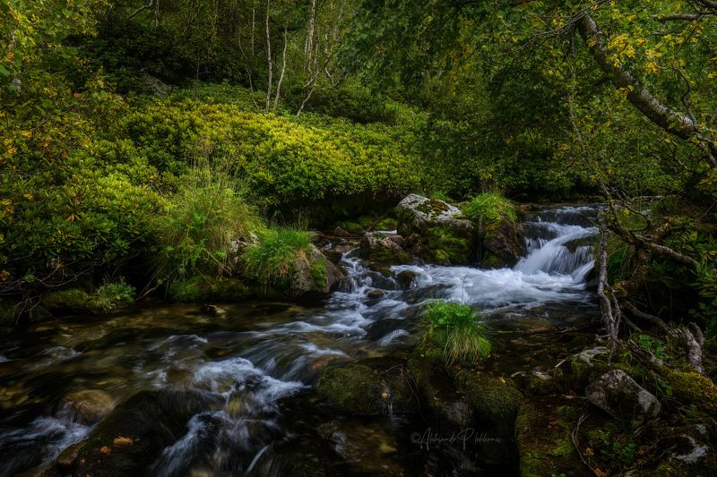 На горной речке фото превью