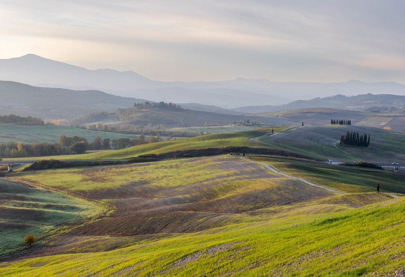 В полях фото превью