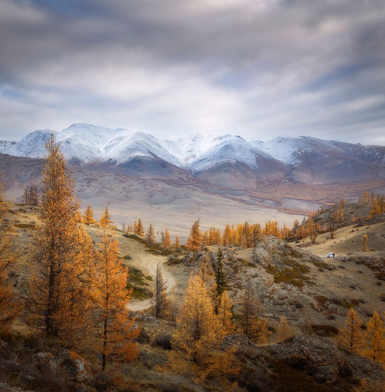 Типичная Алтайская картинка. фото превью