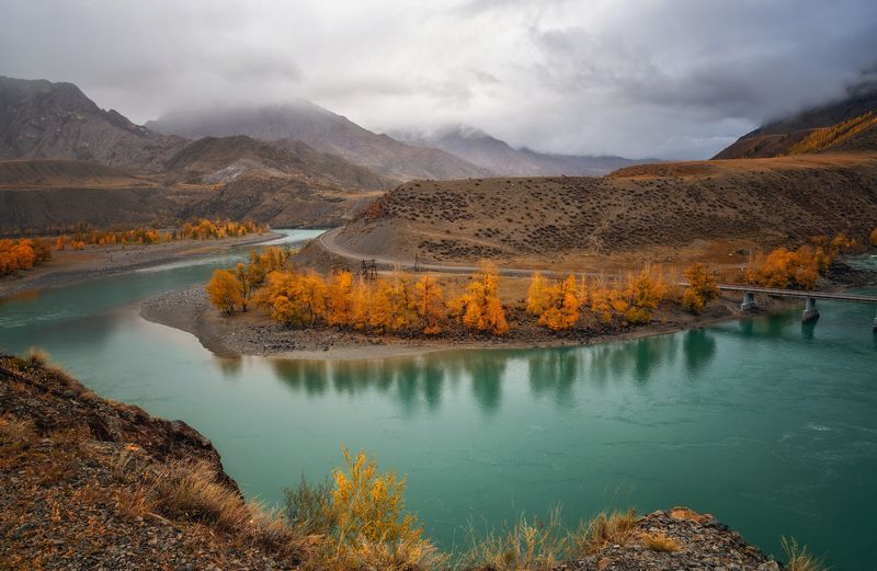 горный алтай,осень,морось,туман,катунь,чуй-оозы В дождливый день... фото превью