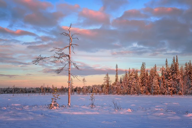 Равнение нааааа....! фото превью