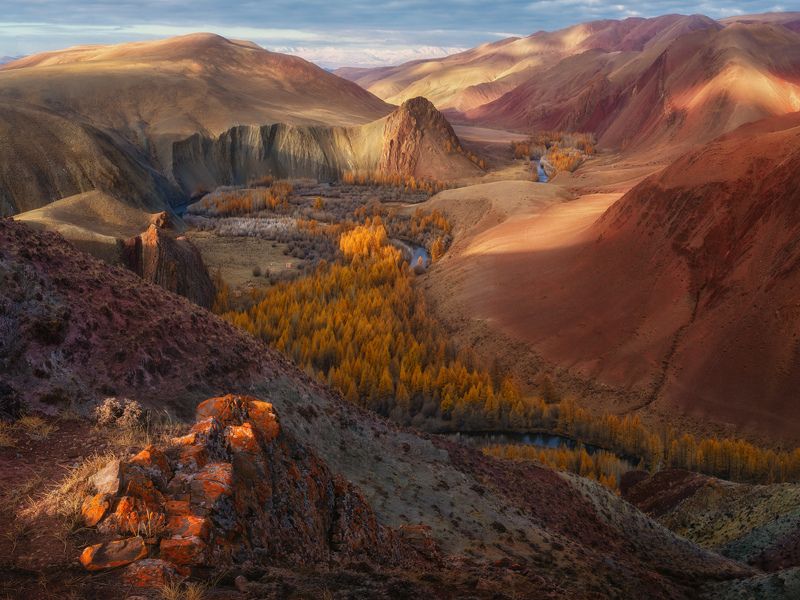 Хроники урочища Кокоря фото превью