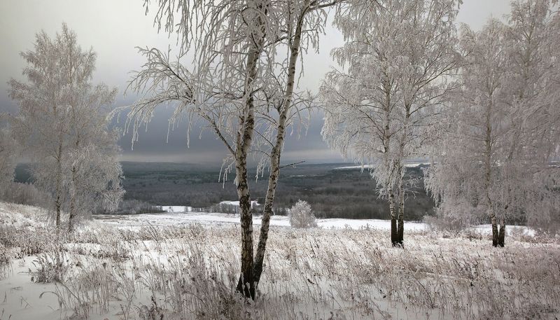 ... фото превью